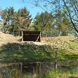 Alpine ibex exhibit, 2023-04-30