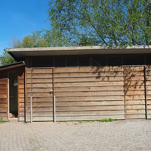 Guinea pig, ibex and chicken barn,2023-04-30