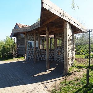 Western Eurasian griffon vulture aviary viewing area, 2023-04-30