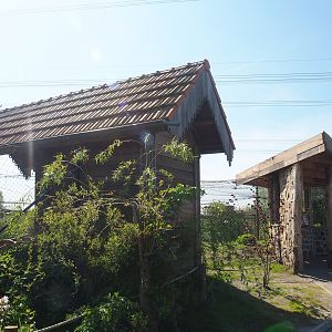 Western Eurasian griffon vulture aviary viewing area and vulture barn, 2023-04-30