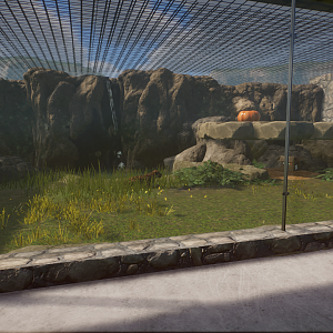 Firelands Zoo - Amur Leopard Exhibit