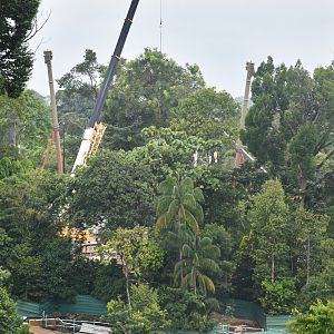 Rainforest Wild Africa - Lemur Land (under construction)