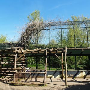 Amur tiger viewing area, 2023-04-30