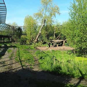 Amur tiger exhibit, 2023-04-30