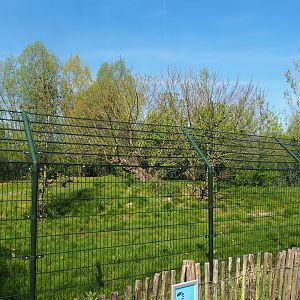 Former cheetah exhibit (To be added to renovated Amur tiger exhibit), 2023-04-30