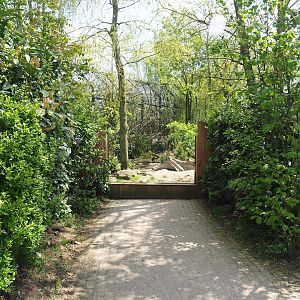 Arctic fox exhibit, 2023-04-30
