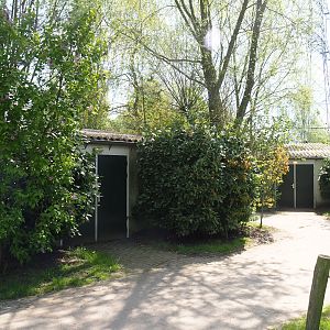 Polar bear holding buildings, 2023-04-30