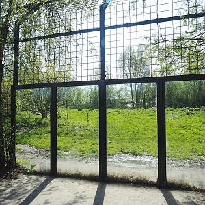 Polar bear viewing windows, 2023-04-30