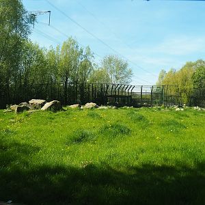 First polar bear exhibit, 2023-04-30