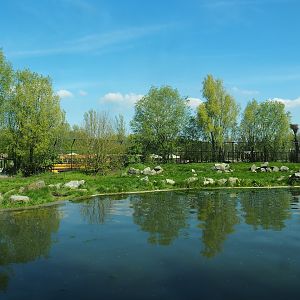 First polar bear exhibit, 2023-04-30