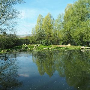 Second polar bear exhibit, 2023-04-30