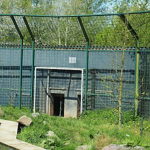 Polar bear holding, 2023-04-30