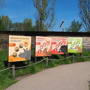 Indian rhinoceros, Nilgai, Indian hog deer and Visayan warty pig exhibit conservation signage, 2023-04-30