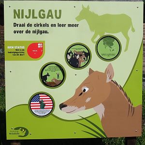 Nilgai conservation signage, 2023-04-30