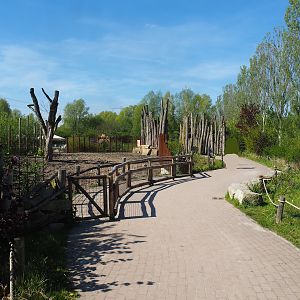 Indian rhinoceros, Nilgai, Indian hog deer and Visayan warty pig exhibit viewing area, 2023-04-30