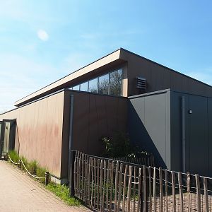 Indian rhinoceros and Nilgai house, 2023-04-30