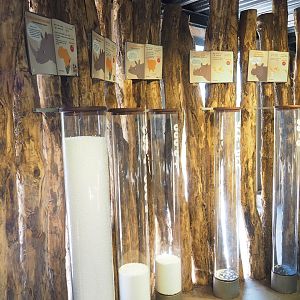 Remaining population numbers of five rhinoceros species display, 2023-04-30