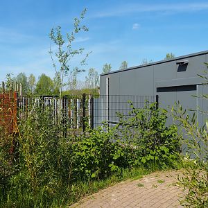 Indian rhinoceros and Nilgai house and holding paddocks, 2023-04-30