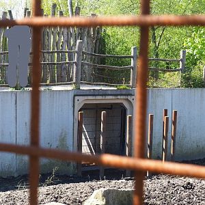 Passage underneath pathway to Visayan warty pig and Indian hog deer indoor stable, 2023-04-30