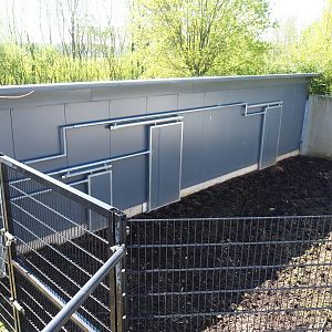 Visayan warty pig and Indian hog stable, 2023-04-30