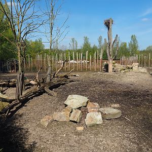 Indian rhinoceros, Nilgai, Indian hog deer and Visayan warty pig exhibit, 2023-04-30