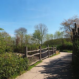 Indian rhinoceros, Nilgai, Indian hog deer and Visayan warty pig exhibit viewing area, 2023-04-30