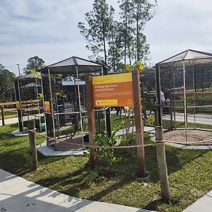 Busch Wildlife (new location) - Small bird exhibits