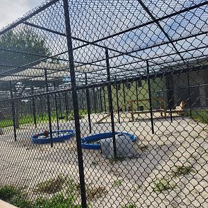 Busch Wildlife (new location) - Otter exhibit