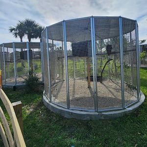 Busch Wildlife (new location) - Raptor exhibits