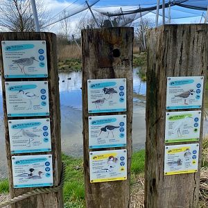 WWT Slimbridge, Wetlands Aviary, bird signage