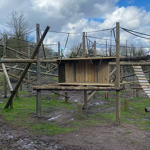 Chimp enclosure new structures from lower viewing window, Dudley, UK