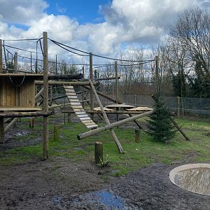Chimp enclosure new structures from lower viewing window, right side, Dudley, UK