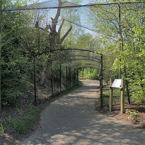 Eurasian eagle-owl aviary with tunnel, 2023-04-30