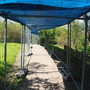 Vogelrijk/Bird Kingdom aviary - Improvised temporary viewing area because of avian influenza, 2023-04-30