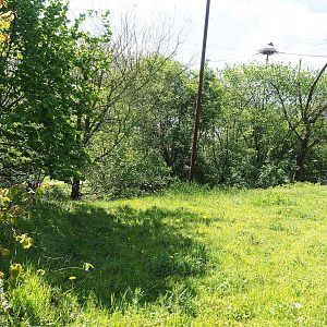 Vogelrijk/Bird Kingdom aviary - Area sectioned off behind the visitor viewing corridor, 2023-04-30