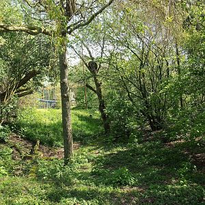 Vogelrijk/Bird Kingdom aviary - Area sectioned off behind the visitor viewing corridor, 2023-04-30