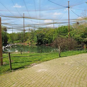 Vogelrijk/Bird Kingdom aviary, 2023-04-30