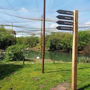 Vogelrijk/Bird Kingdom aviary, 2023-04-30
