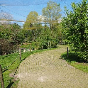Vogelrijk/Bird Kingdom aviary - Walkway closed because of avian influenza, 2023-04-30