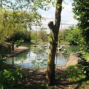 Vogelrijk/Bird Kingdom aviary, 2023-04-30