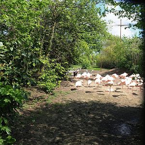 Vogelrijk/Bird Kingdom aviary, 2023-04-30