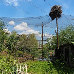 Vogelrijk/Bird Kingdom aviary, 2023-04-30