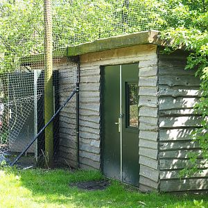 Vogelrijk/Bird Kingdom aviary barn, 2023-04-30