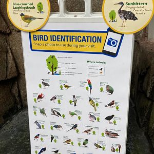 Matilda R. Wilson Free Flight Aviary Bird List 3/3/24