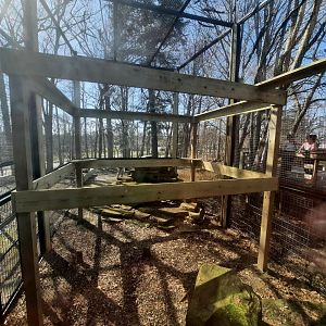 New climbing structures at PC&A