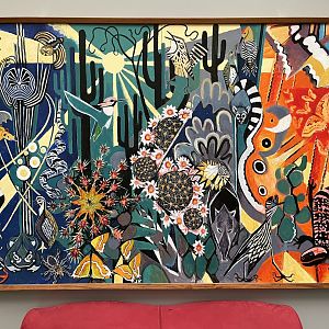 Sonora Desert (1995) by Jonathan Kingdon