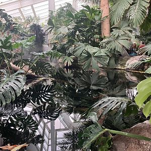 Tropical Encounters - Entrance Tank