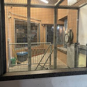 Primates - Former Patas Monkey Exhibit