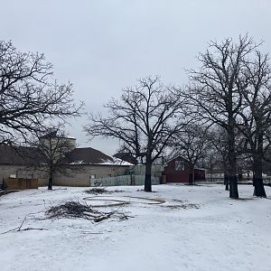 African Hoofstock - Plains Zebra/Lowland Nyala/Grey-Crowned Crane/Sulcata Tortoise Exhibit