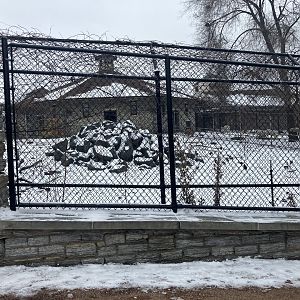Old Hoofstock - Dall’s Sheep Exhibit #1